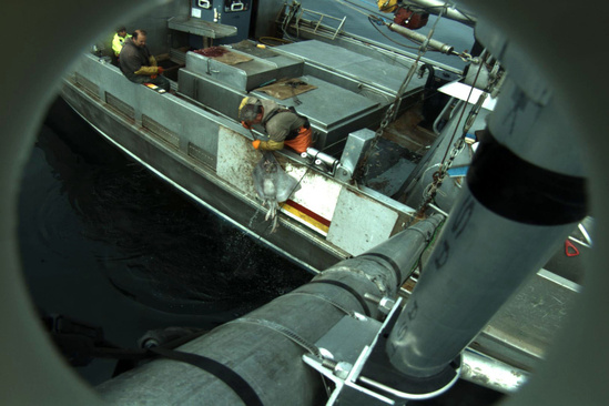 NOAA Fisheries electronic monitoring camera mounted on a commercial fishing vessel